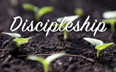 Discipleship Courses at Liberty