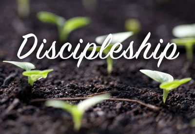 Discipleship Courses at Liberty